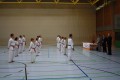 IMG 5550