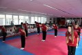 IMG 0006