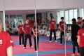 IMG 0013